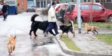Poziv građanima koji su pretrpjeli ujed psa!