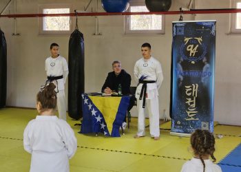 Hamza Hrvačić, Prednosti Taekwonda za Djecu: više od sporta, put ka razvoju mladih